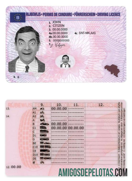 Carta de condução da Bélgica amostra